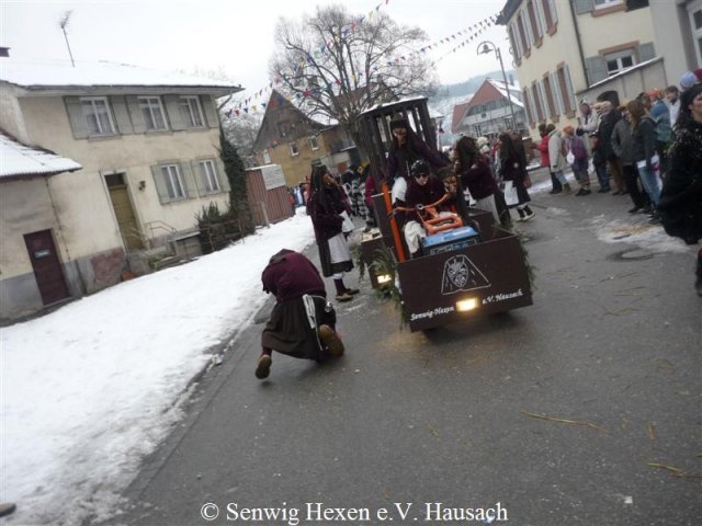 P1050763 (Medium)